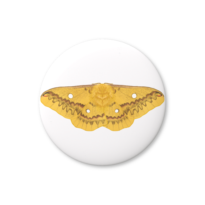 缶バッジ（バリュー） - 76mm