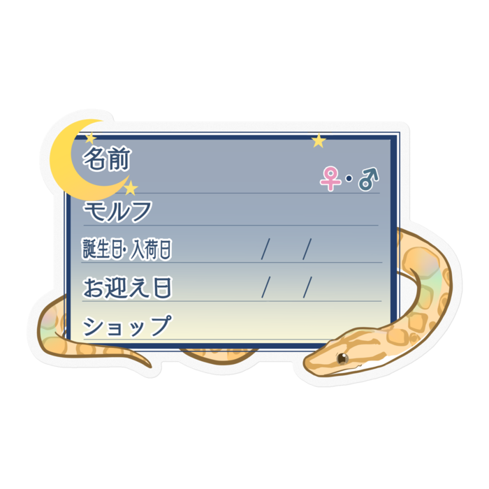 【🐍お名前ステッカー】コロニジ(パラディグマ) ‐夜