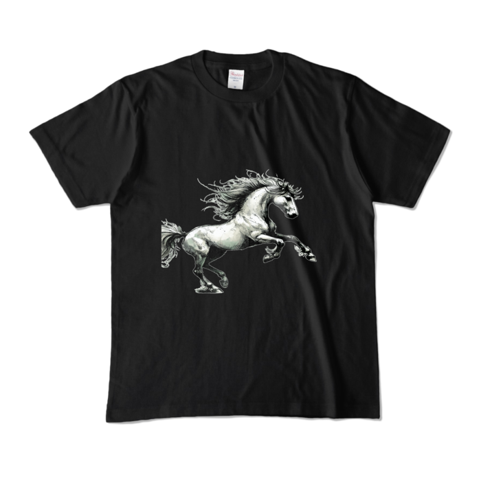 カラーTシャツ - M - ブラック (濃色)