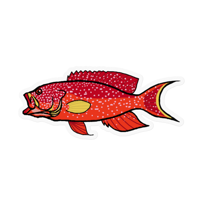 ステッカー - 100 x 100 (mm)