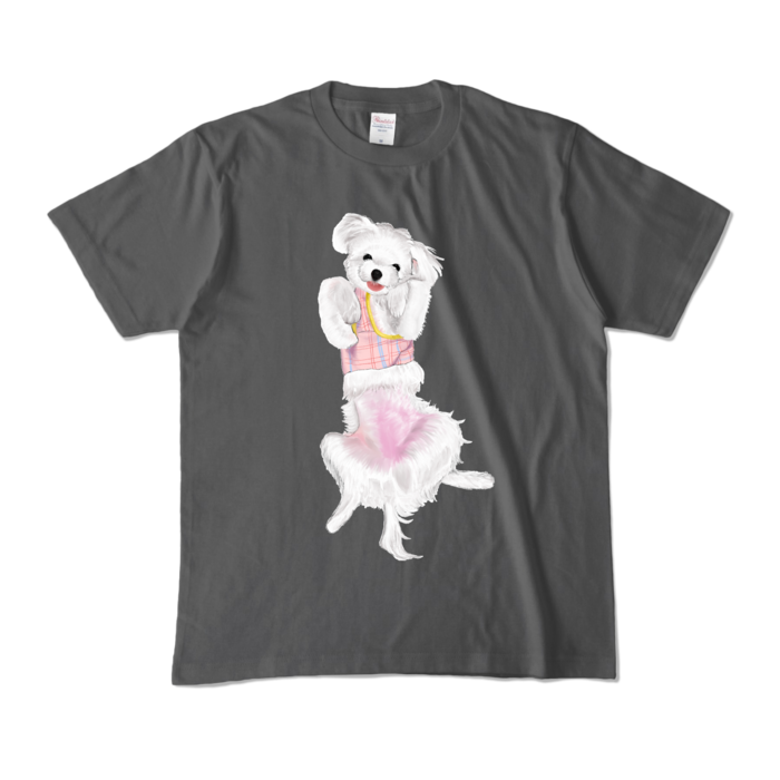 カラーTシャツ - M - チャコール (濃色)