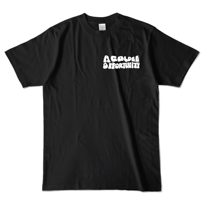 カラーTシャツ - L - ブラック (濃色)