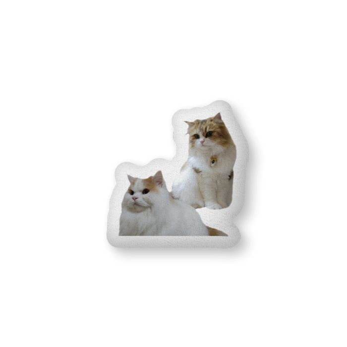 ふかふかクッション - 中(H36×W56cm) - 両面