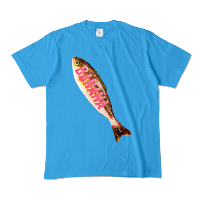 カラーTシャツ - M - ターコイズ (濃色)