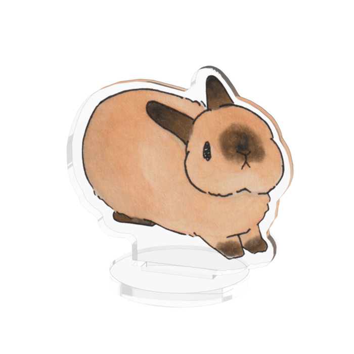 アクリルフィギュア - 50x50mm