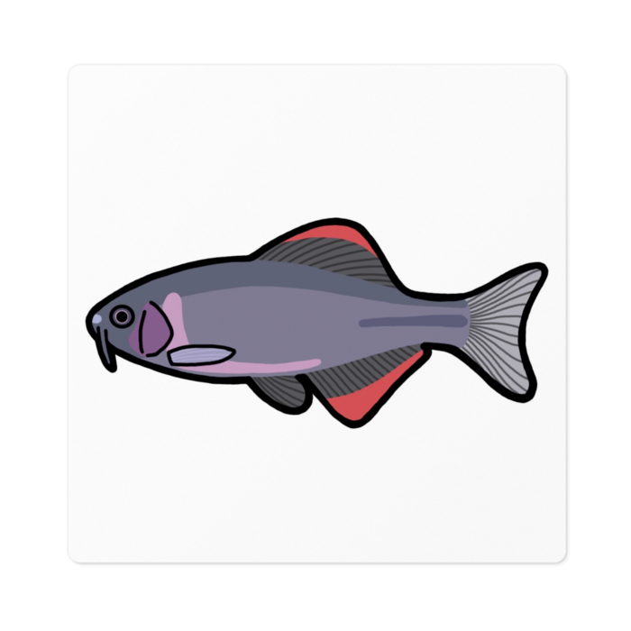 ステッカー - 100 x 100 (mm)(1)