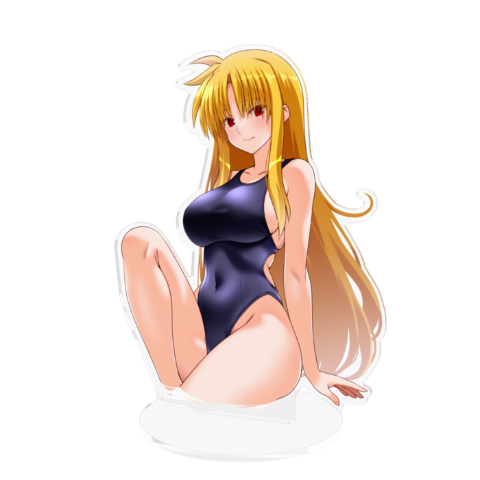 競泳水着フェイトさんLサイズ約160x160mm