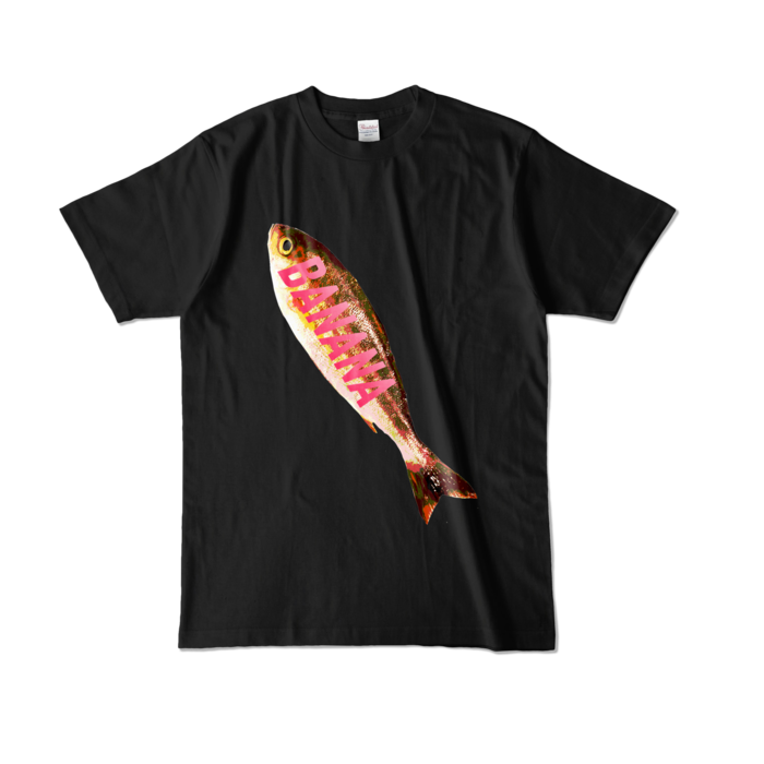 カラーTシャツ - L - ブラック (濃色)