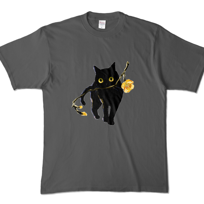 カラーTシャツ - XL - チャコール (濃色)