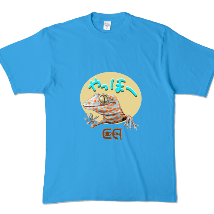 カラーTシャツ - XL - ターコイズ (濃色)
