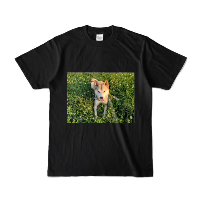 カラーTシャツ - S - ブラック (濃色)