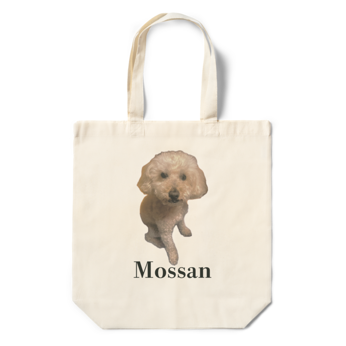 エコバッグ - 360×370×110(mm)