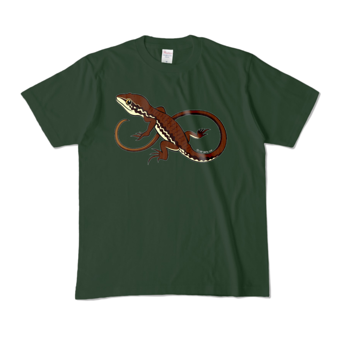 カラーTシャツ - M - フォレスト (濃色)