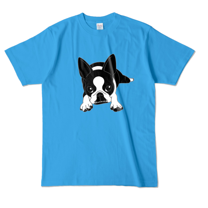 カラーTシャツ - L - ターコイズ (濃色)