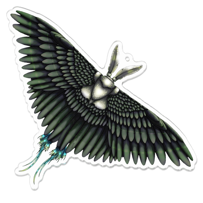 黒　ー　100 x 100㍉／コーティングあり