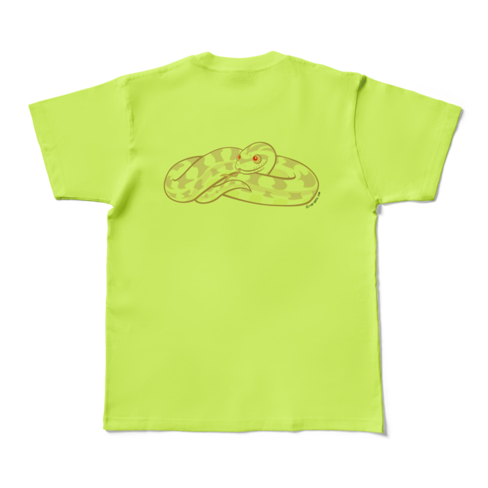 カラーTシャツ - M - ライトグリーン (淡色)