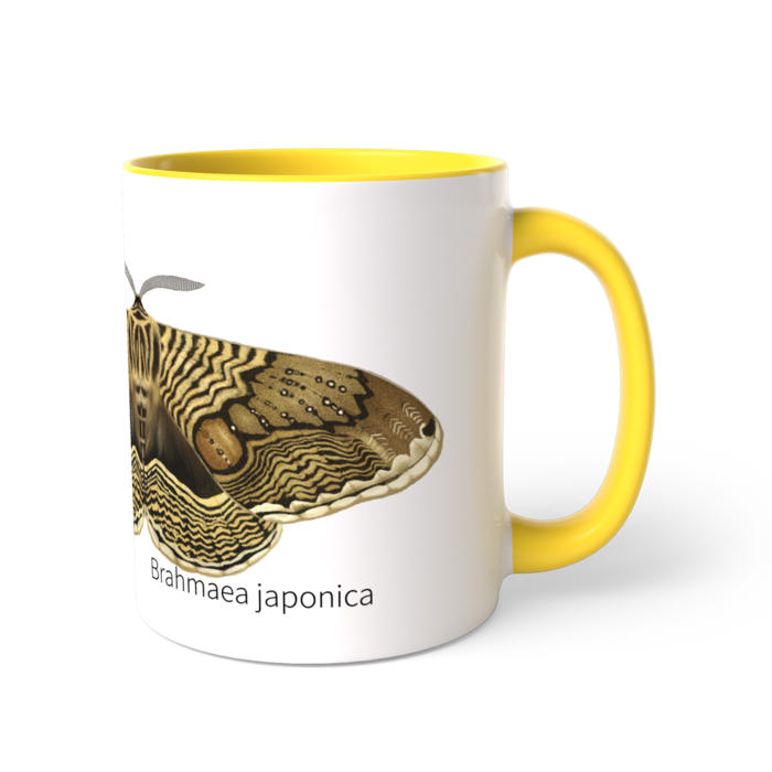 ツートンカラーマグカップ - 直径 8.2cm / 高さ 9.5cm