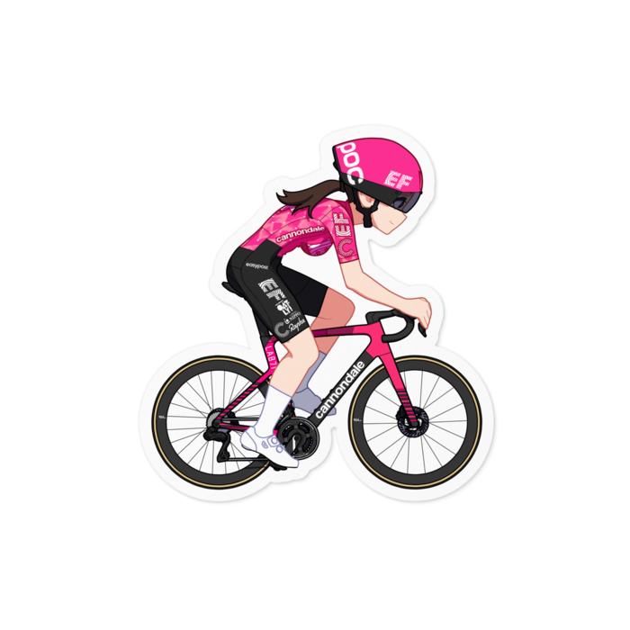 ステッカー - 100 x 100 (mm)