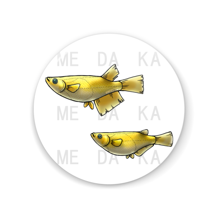 ヒカリ 56mm