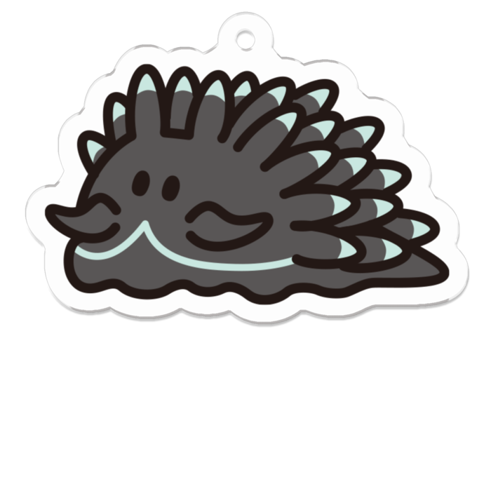 クロモウミウシ