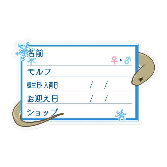 【🐍お名前ステッカー】ガンスタマゴヘビ ‐雪