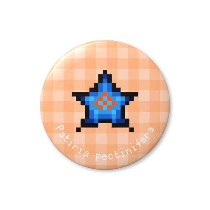 イトマキヒトデ