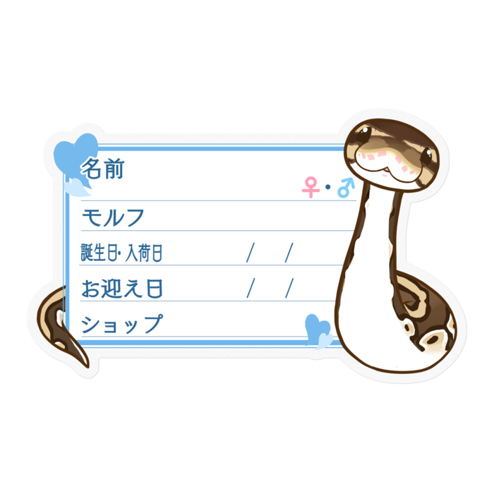 【🐍お名前ステッカー】ボールパイソン(ノーマル) ‐ハート/ブルー