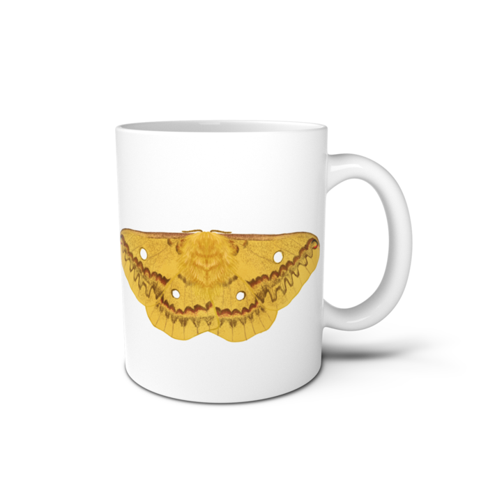 マグカップ - 直径 8 cm / 高さ 9.5 cm