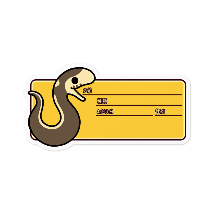 コースタルストライプ