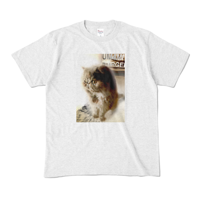カラーTシャツ - M - アッシュ (淡色)