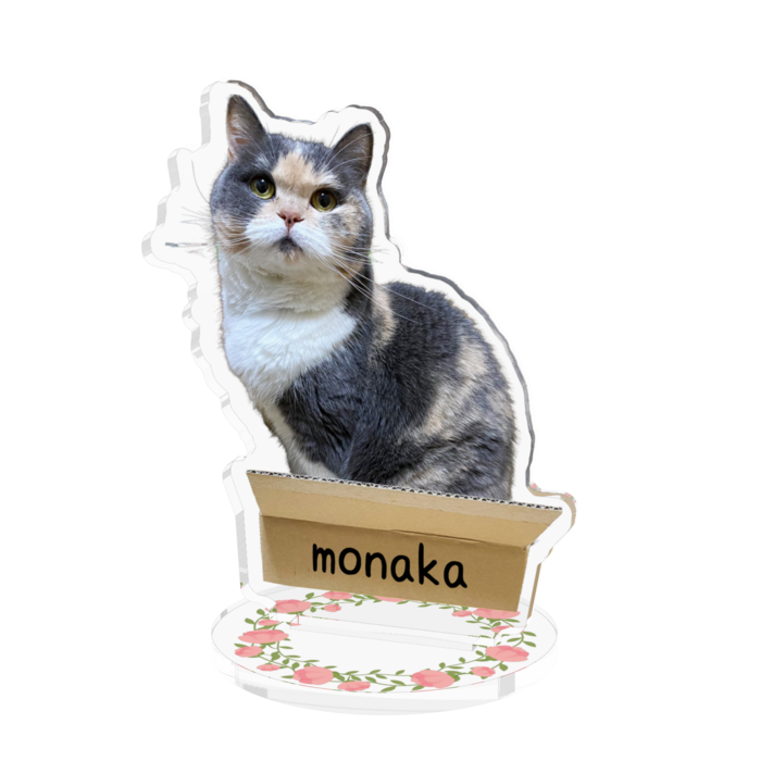 アクリルフィギュア - 70x70mm