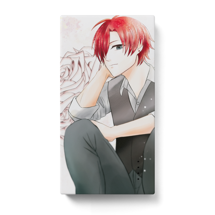 モバイルバッテリー - 123 x 65 (mm)