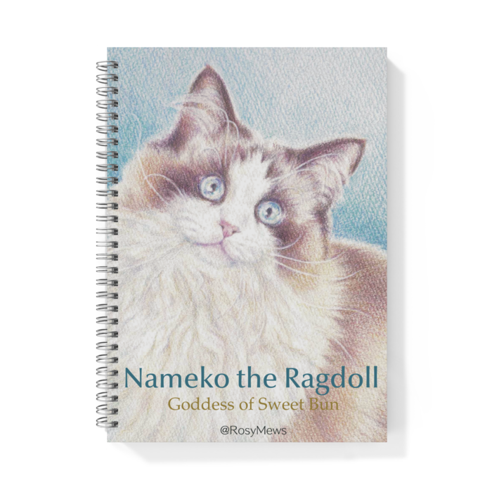 リングノート - B5