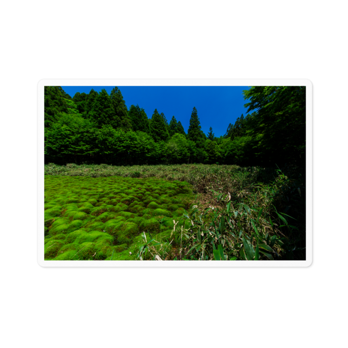 自然からの贈り物