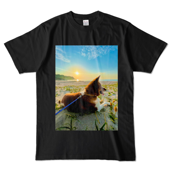 カラーTシャツ - L - ブラック (濃色)