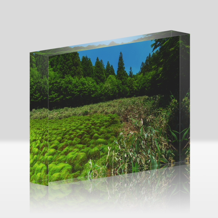 自然からの贈り物