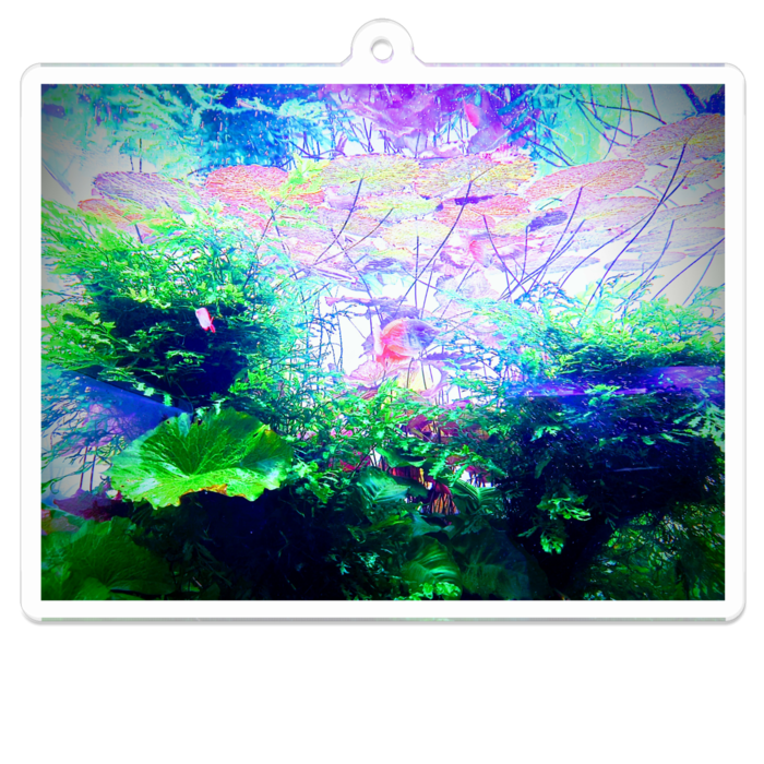 アクリルキーホルダー - 70 x 70 (mm)(1)