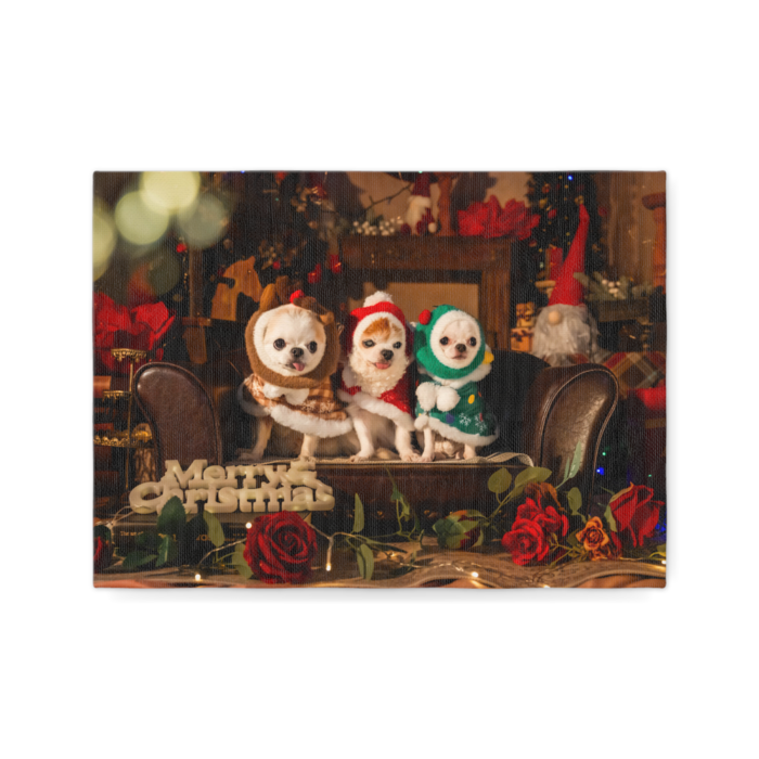 キャンバス - F4