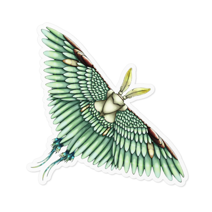 緑　ー　ホワイト／100 x 100㍉