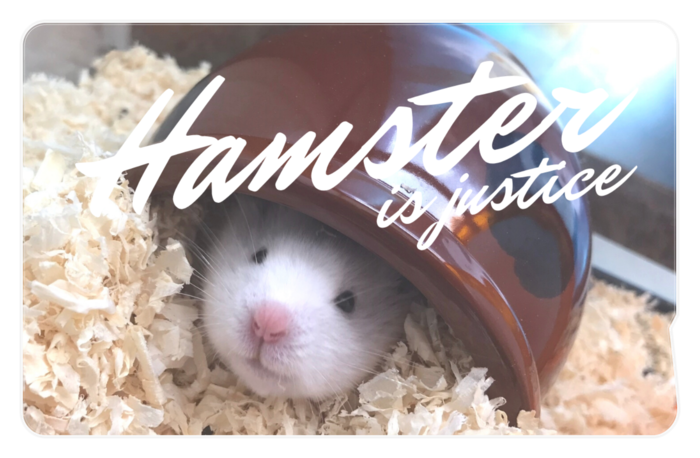 ICカードステッカー - 約85.7x53.9(mm)