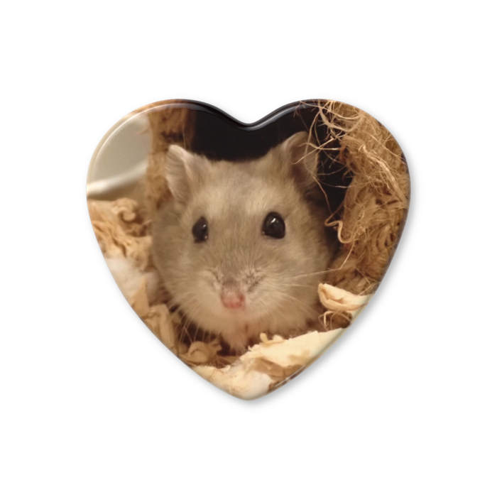 ハート缶バッジ - 52.5 × 57mm