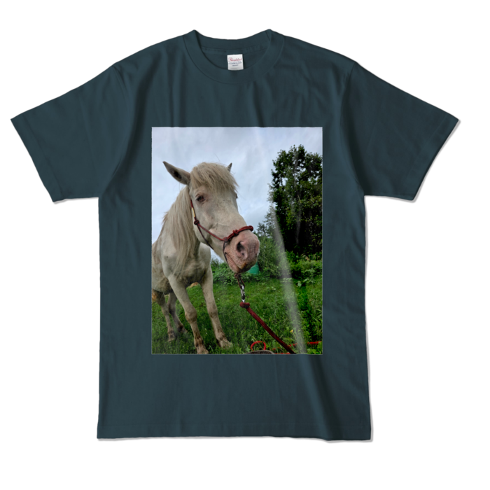 カラーTシャツ - L - デニム (濃色)