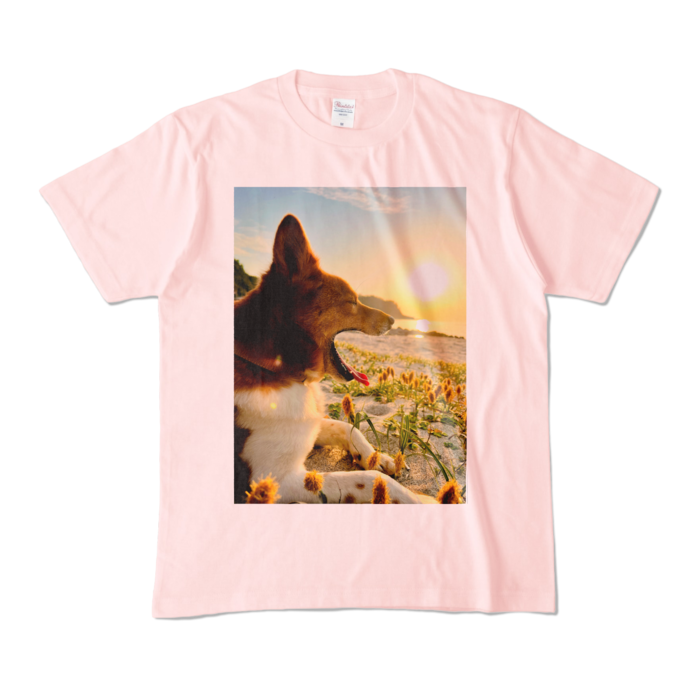 カラーTシャツ - M - ライトピンク (淡色)