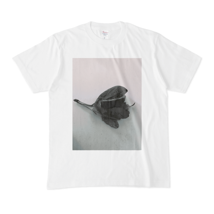 Tシャツ - M - 白