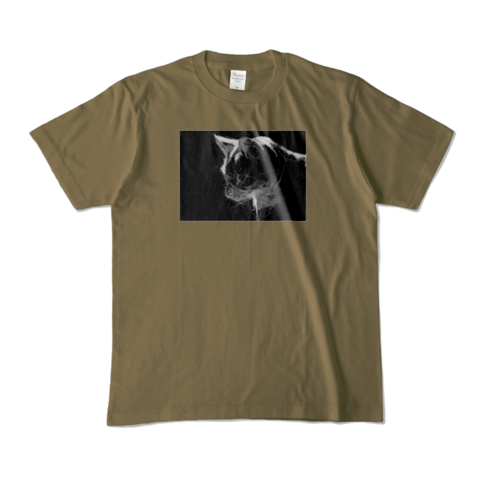 カラーTシャツ - M - オリーブ (濃色)