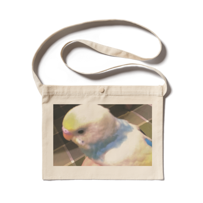 サコッシュ - 300 x 230 (mm)