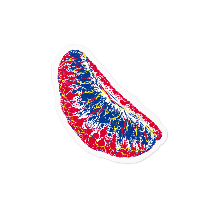 ステッカー - 100 x 100 (mm)