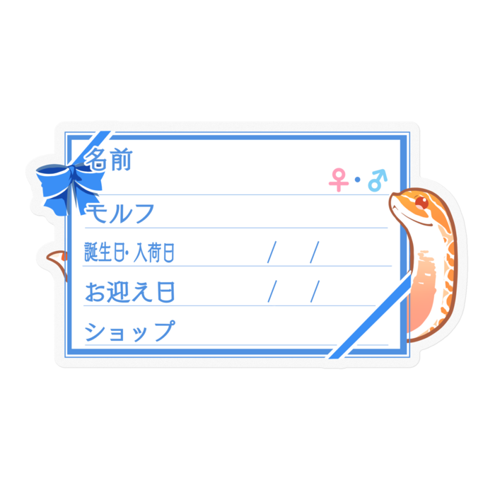 【🐍お名前ステッカー】シシバナ(アルビノ) ‐リボン／ブルー
