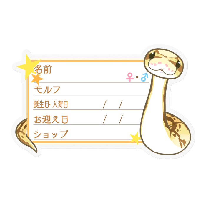 【🐍お名前ステッカー】ボールパイソン(クイーンビー) ‐星
