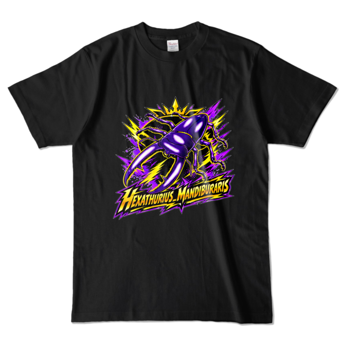 カラーTシャツ - L - ブラック （濃色）